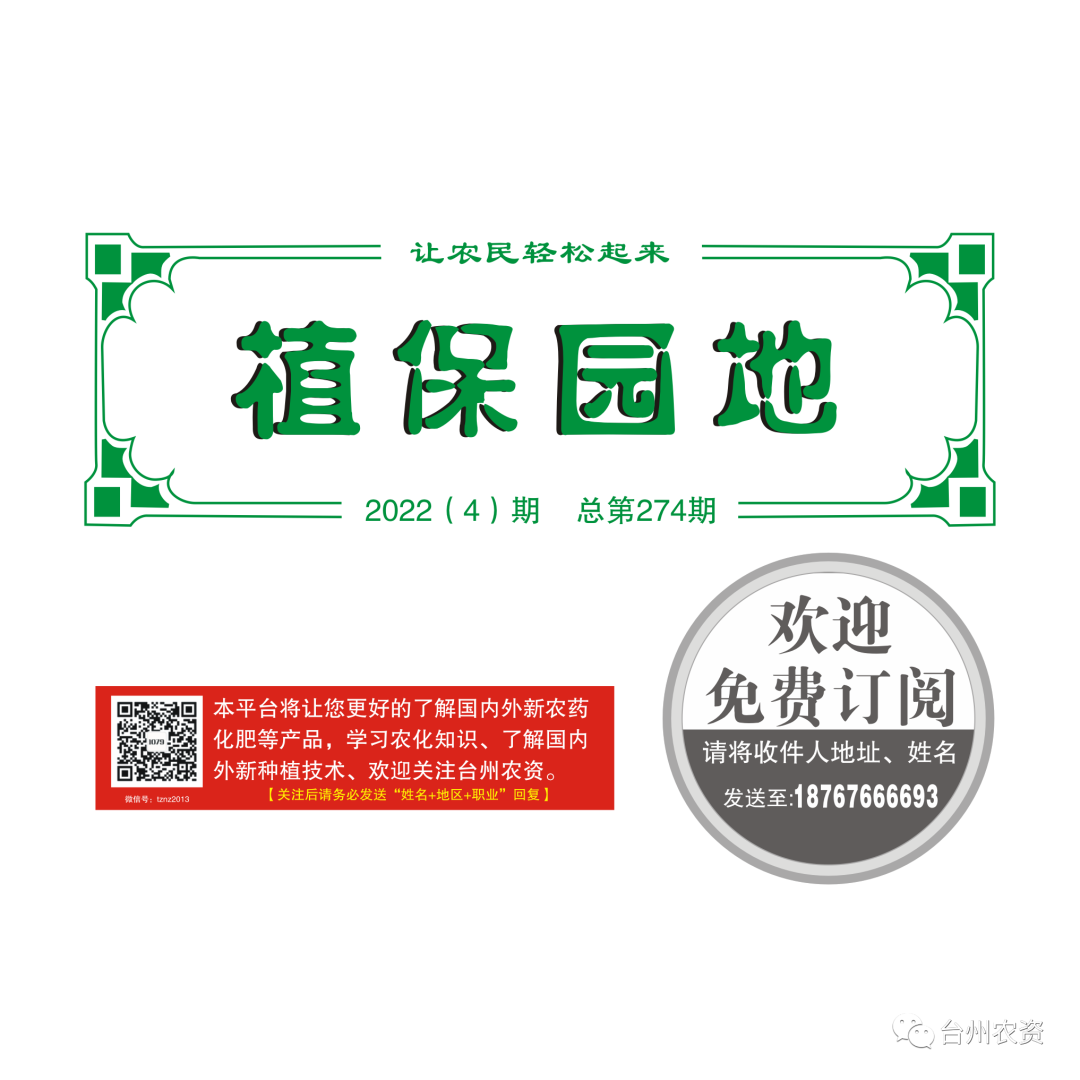 氣溫驟降，大棚西瓜做好以下幾點(diǎn)工作